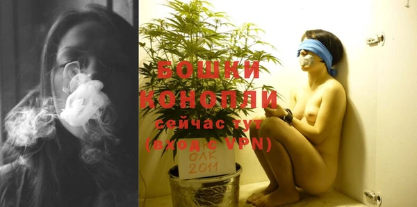 дмт Белокуриха