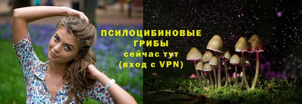 марки nbome Беломорск