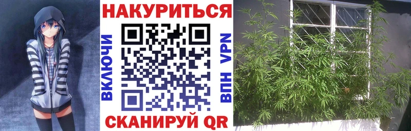 Конопля MAZAR  Вязники 